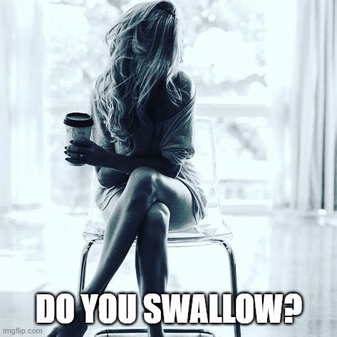 swallow Memes & GIFs